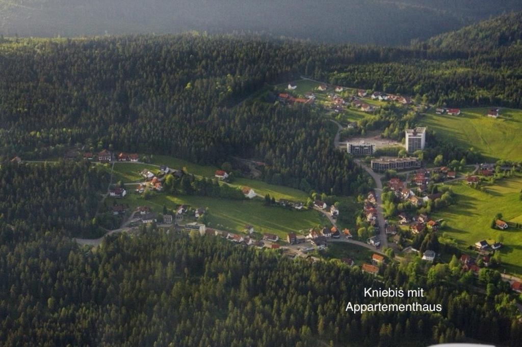 3- 2-1 - Raum - Ferienappartements Dieter Hoffmann Freudenstadt-Kniebis Beim Nationalpark Zewnętrze zdjęcie