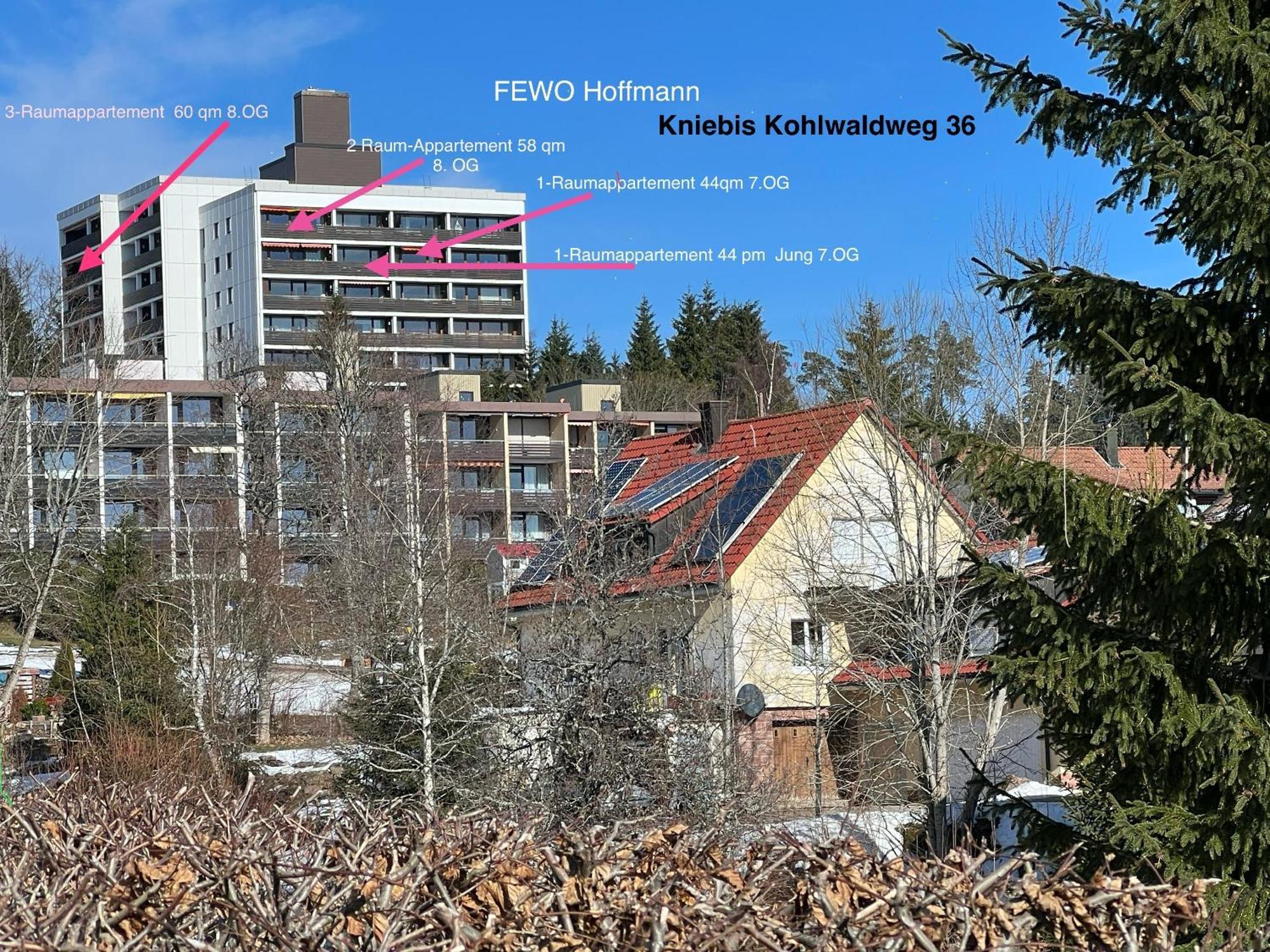 3- 2-1 - Raum - Ferienappartements Dieter Hoffmann Freudenstadt-Kniebis Beim Nationalpark Zewnętrze zdjęcie