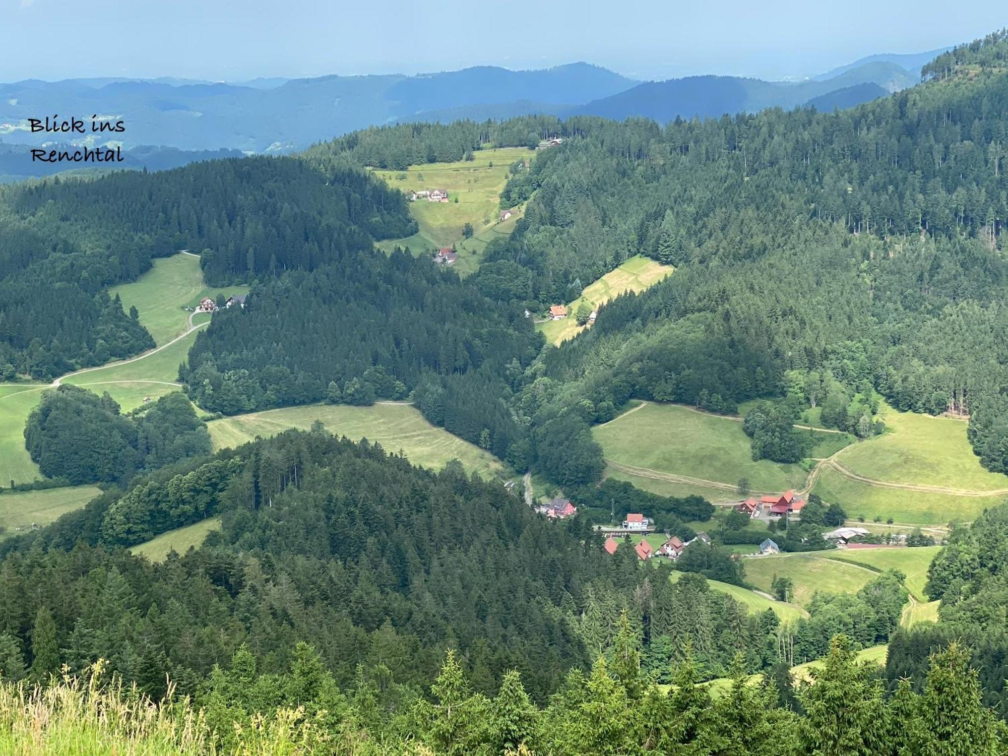 3- 2-1 - Raum - Ferienappartements Dieter Hoffmann Freudenstadt-Kniebis Beim Nationalpark Zewnętrze zdjęcie