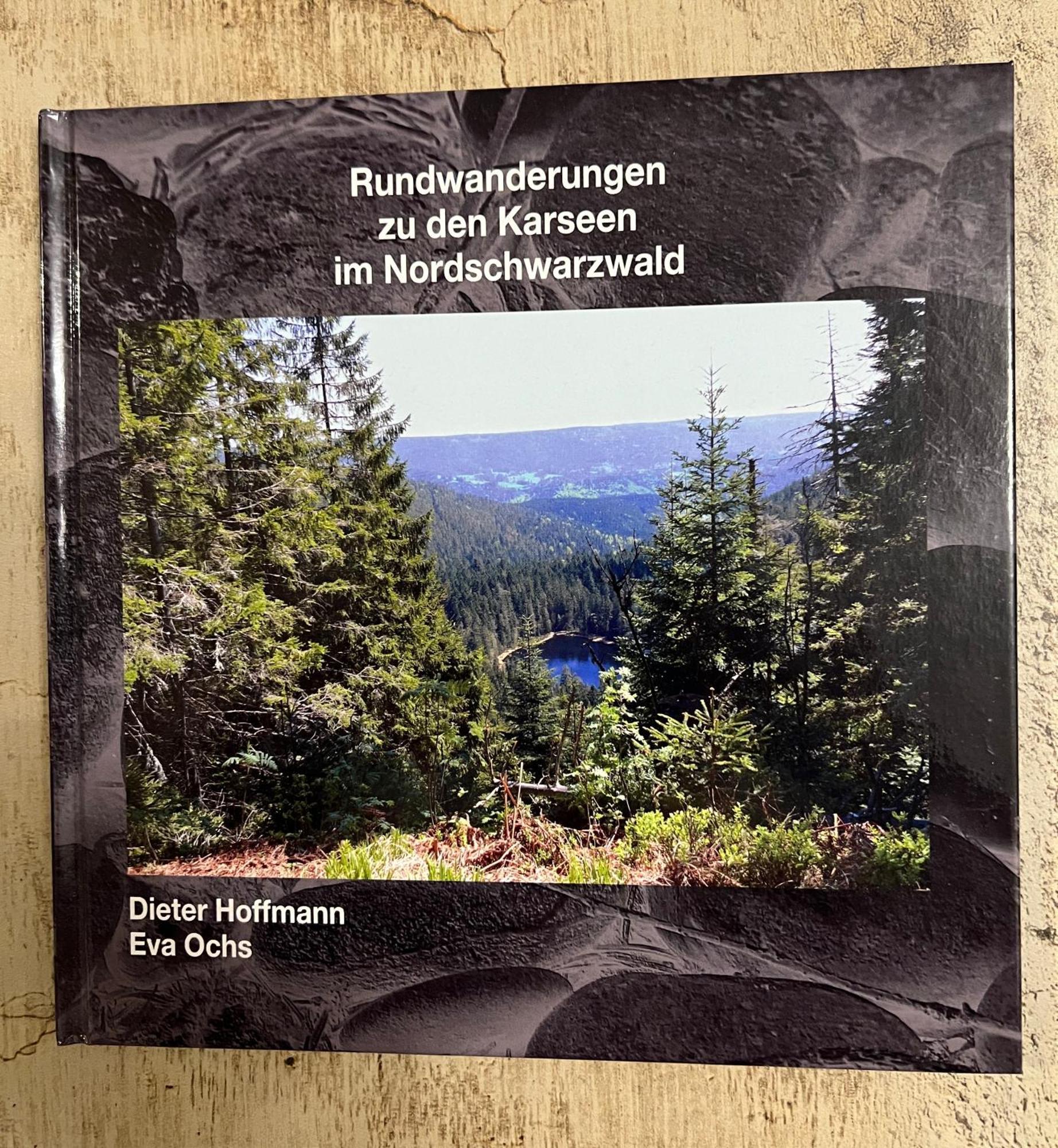 3- 2-1 - Raum - Ferienappartements Dieter Hoffmann Freudenstadt-Kniebis Beim Nationalpark Zewnętrze zdjęcie
