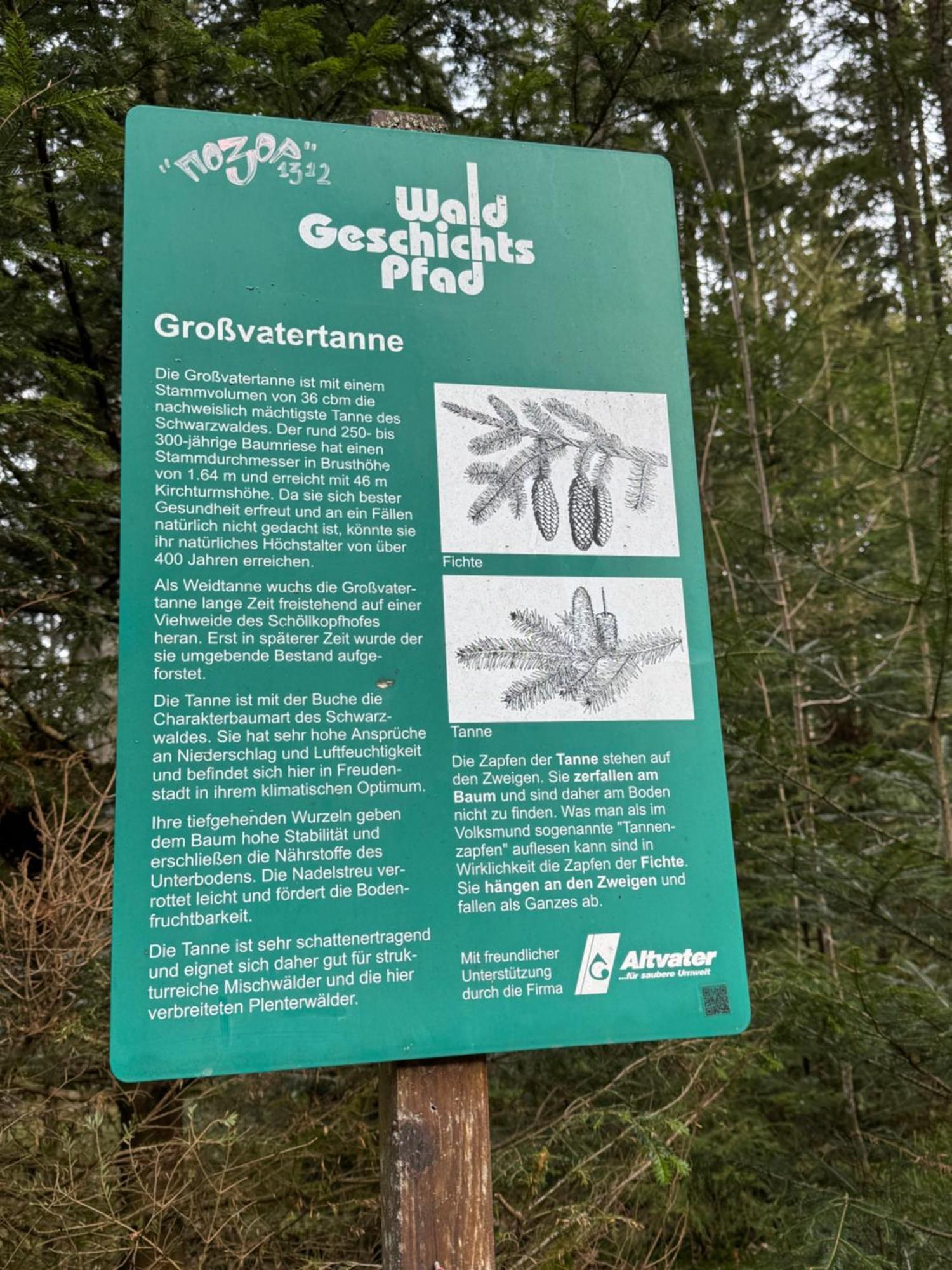 3- 2-1 - Raum - Ferienappartements Dieter Hoffmann Freudenstadt-Kniebis Beim Nationalpark Zewnętrze zdjęcie
