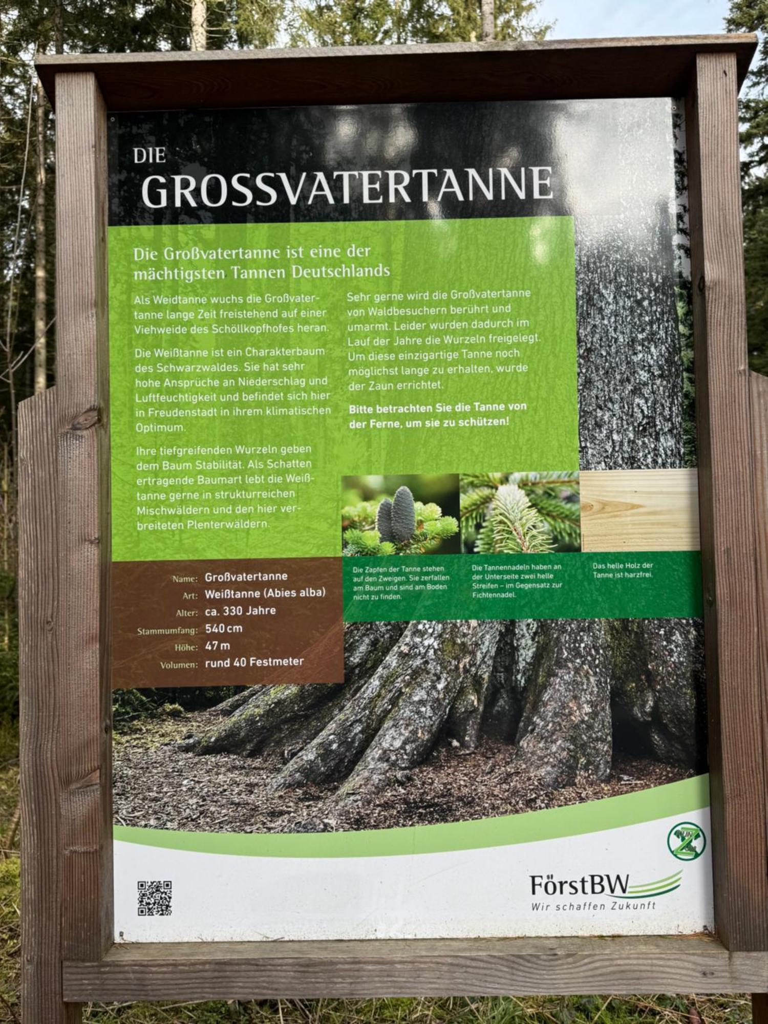 3- 2-1 - Raum - Ferienappartements Dieter Hoffmann Freudenstadt-Kniebis Beim Nationalpark Zewnętrze zdjęcie